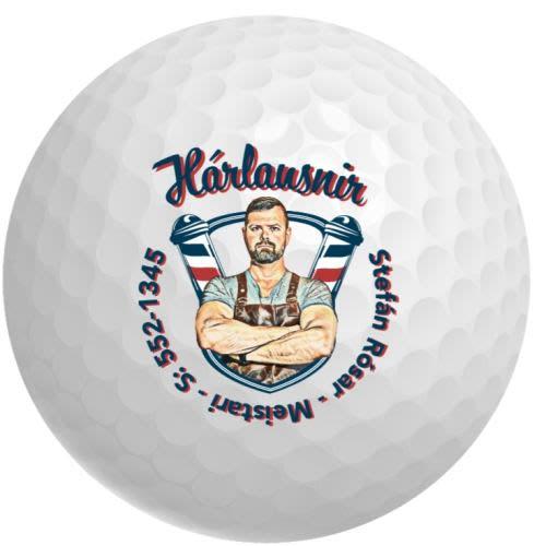 Rakarastofan Hárlausnir