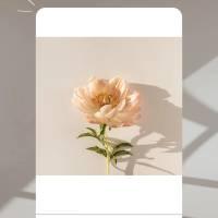 Paulina’s Mama Care (Massages & Birth Education)